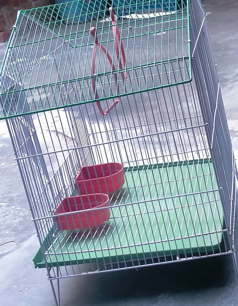 bird Cage 3