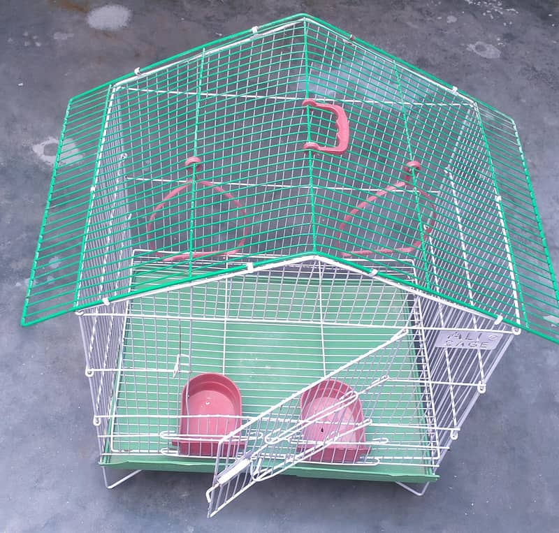 bird Cage 5