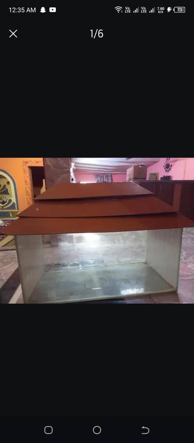 aquarium big size