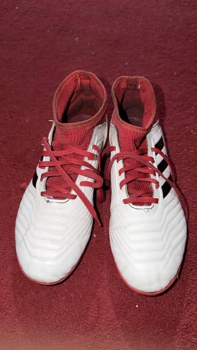 Adidas predator