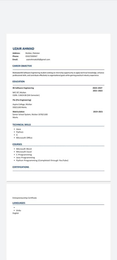 Software Engineering Job