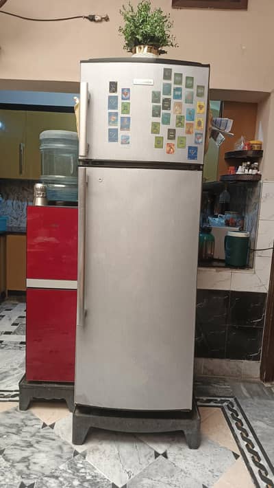 beautiful fridge