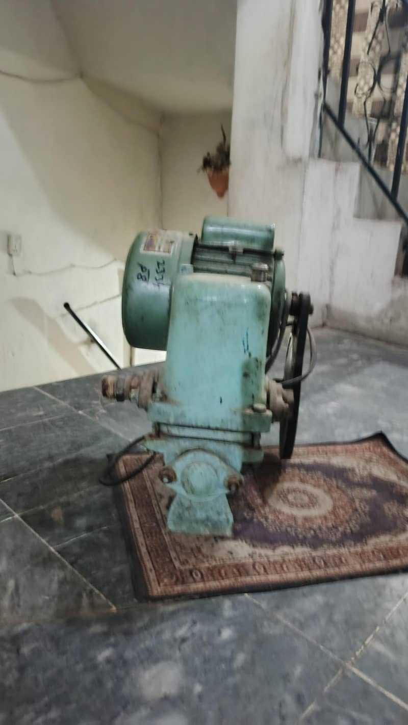 dankipum 1