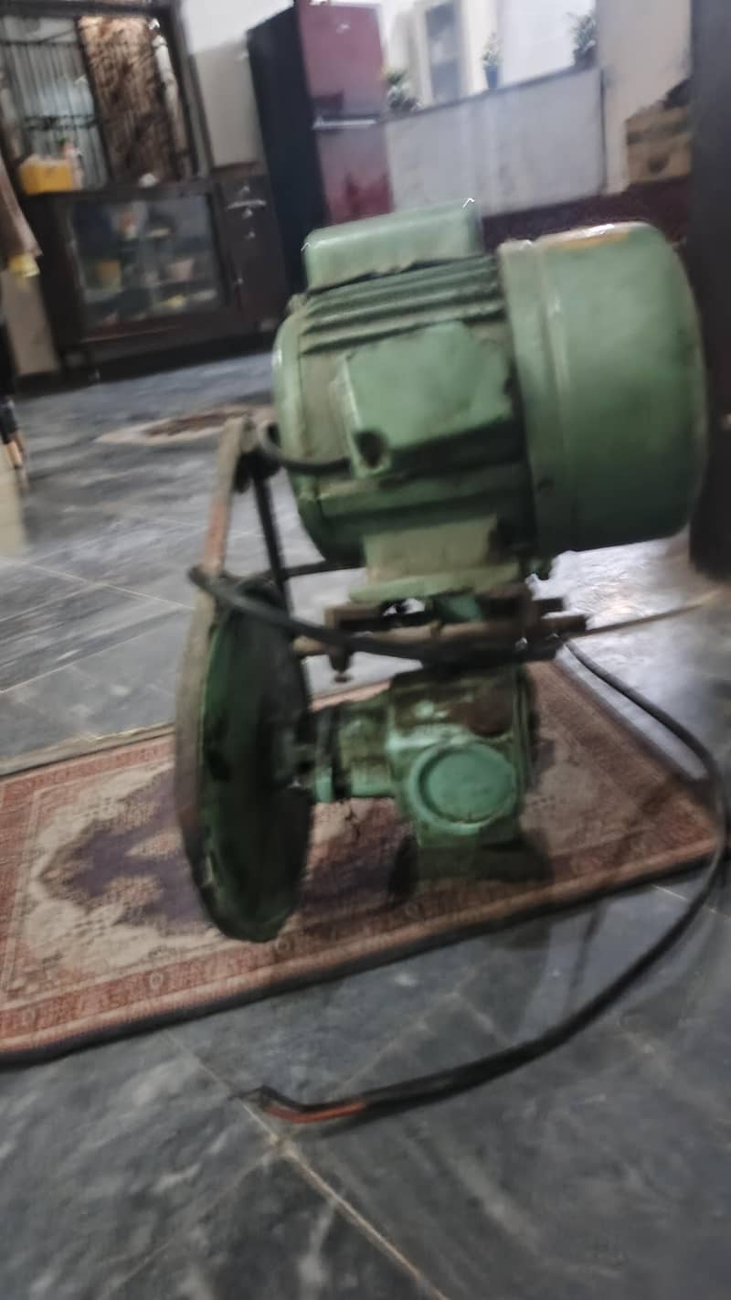 dankipum 2