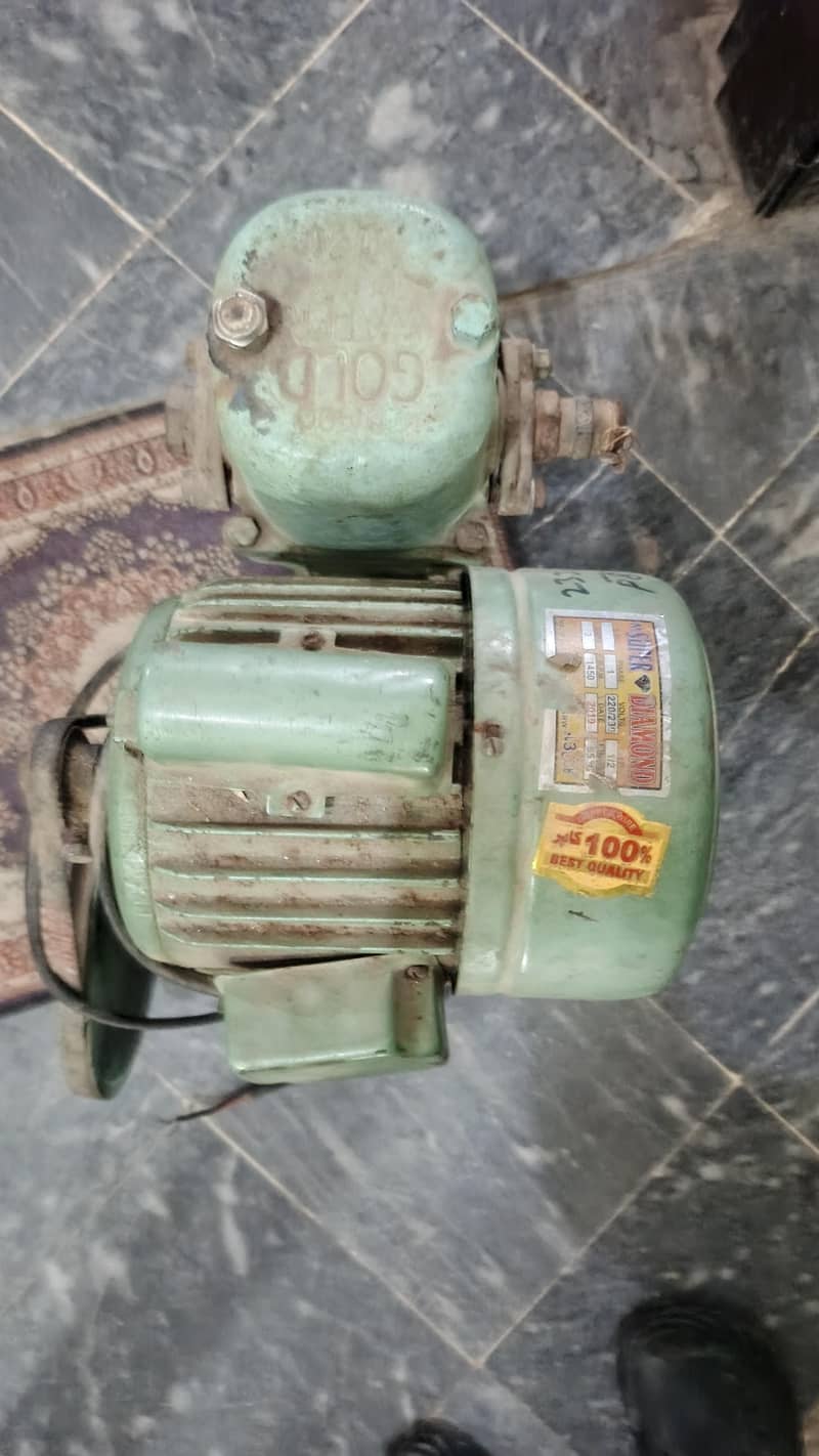 dankipum 3