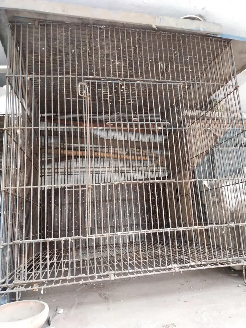 cage for parrots — photo 2
