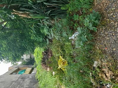 In Jinnah Garden Phase 2 . . . 7marla Lop Plot Prime Location Sale Dimnd 40 Lac