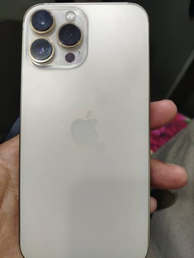 Apple iPhone 13 Pro Max