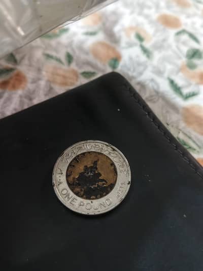 Saudi coins and notes