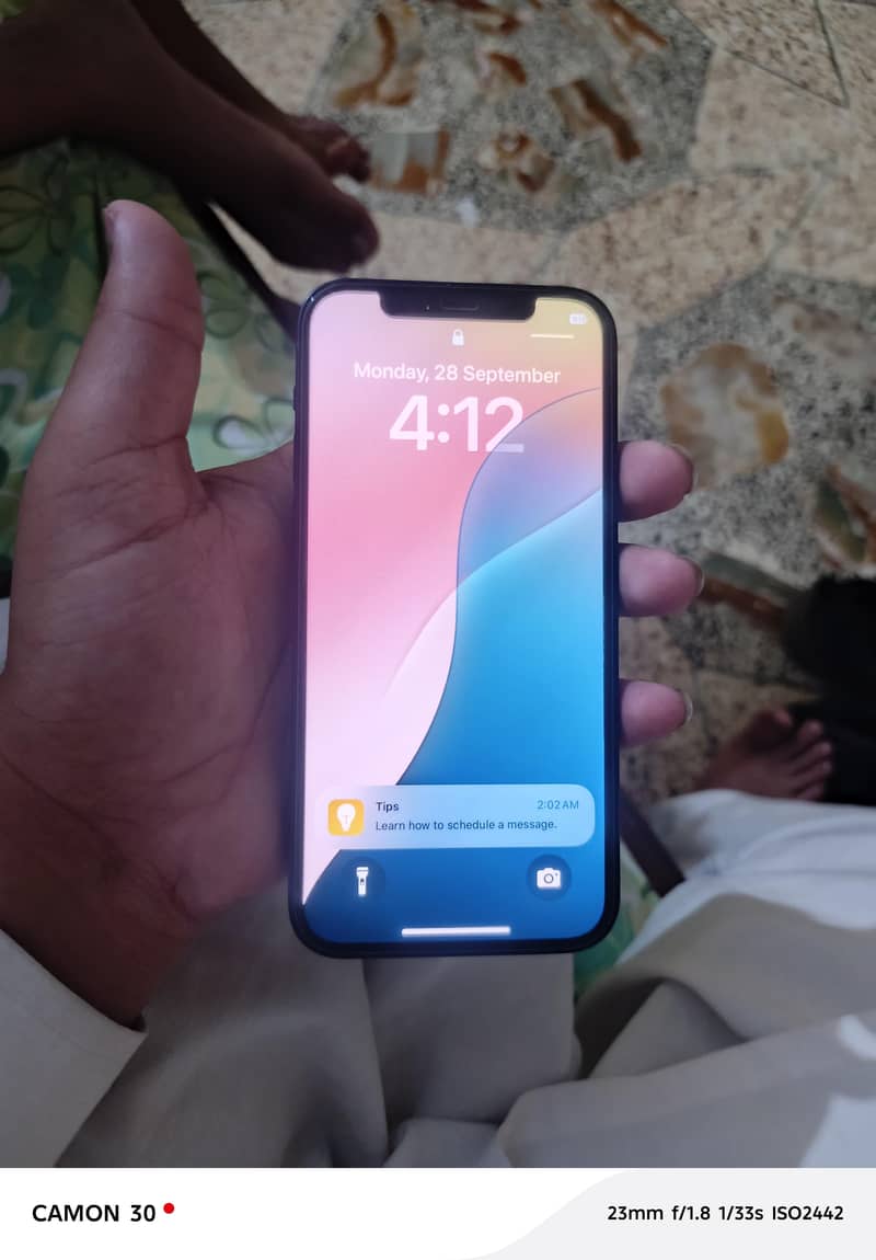 Apple iPhone 12 1