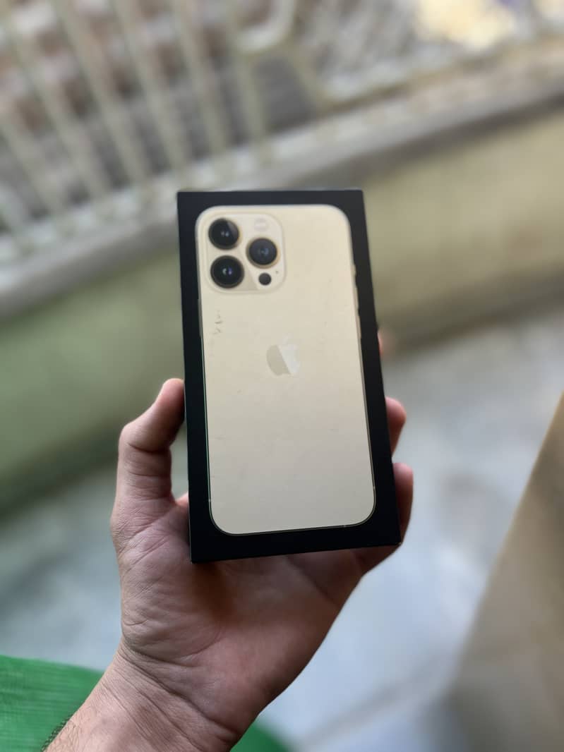 Apple iPhone 13 Pro 1