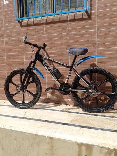 new cycle
