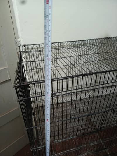 cage / Bird cages \ parrot cage / pinjra