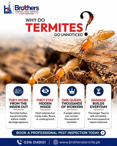 Tank cleaning,water tank cleaning service,termite control service