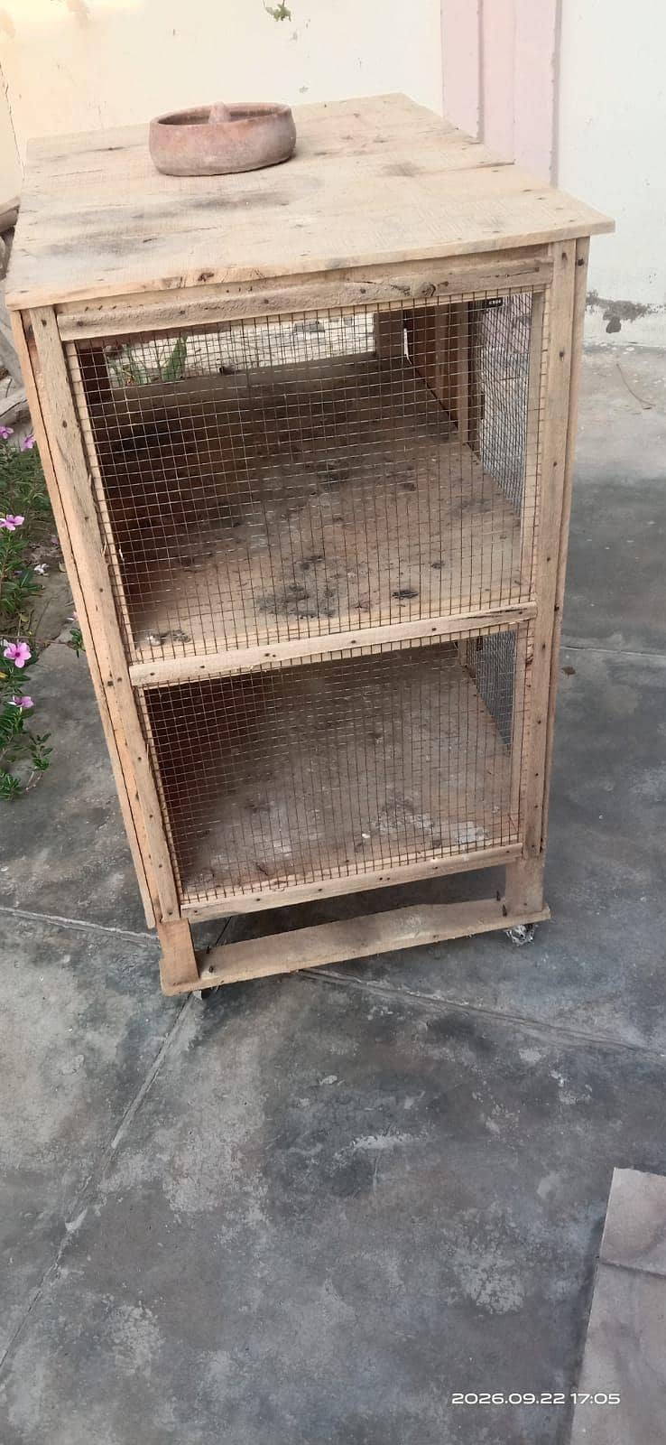 hen cage 1