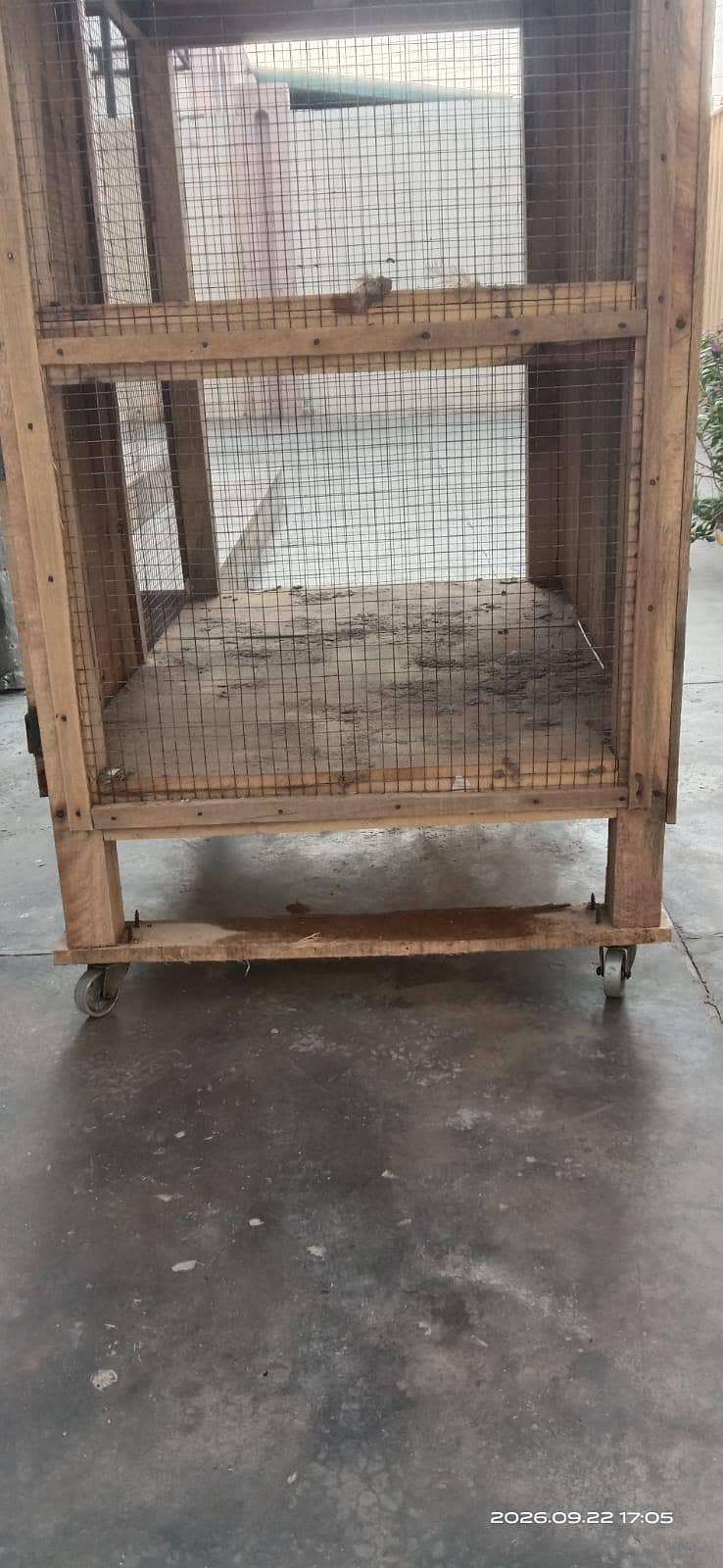 hen cage 2