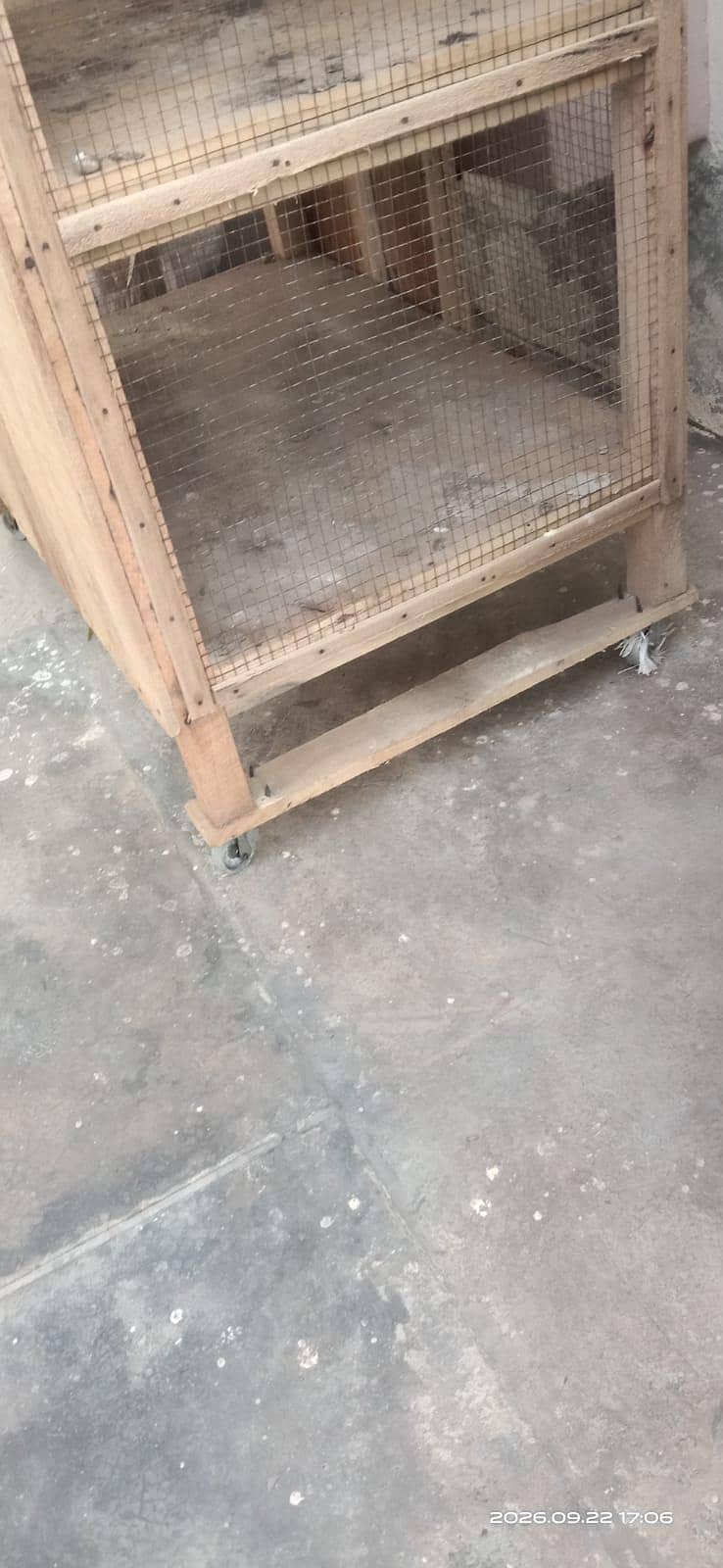 hen cage 3
