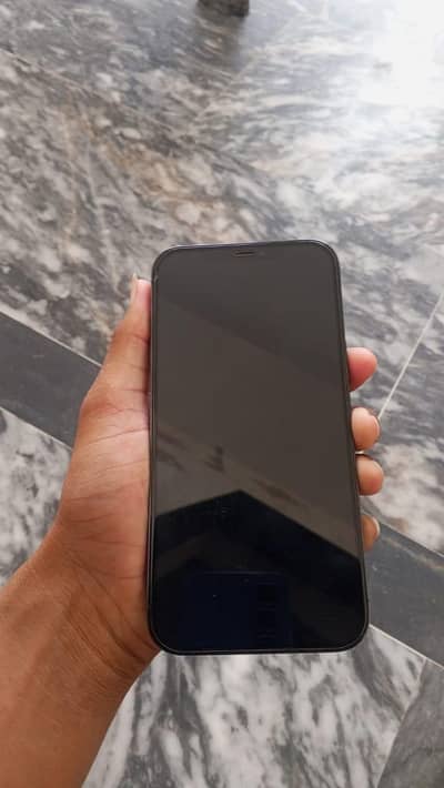 Apple iPhone 12 Pro Max