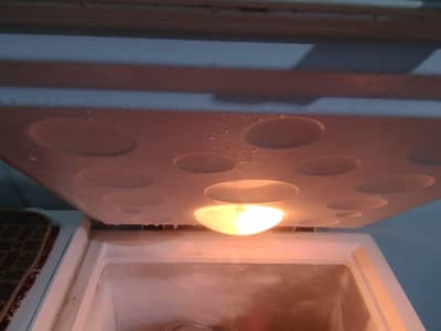 Haier Deep Freezer for Sale – VVIP Condition – Delhi Colony
