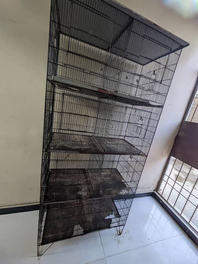 Cage | Pinjra