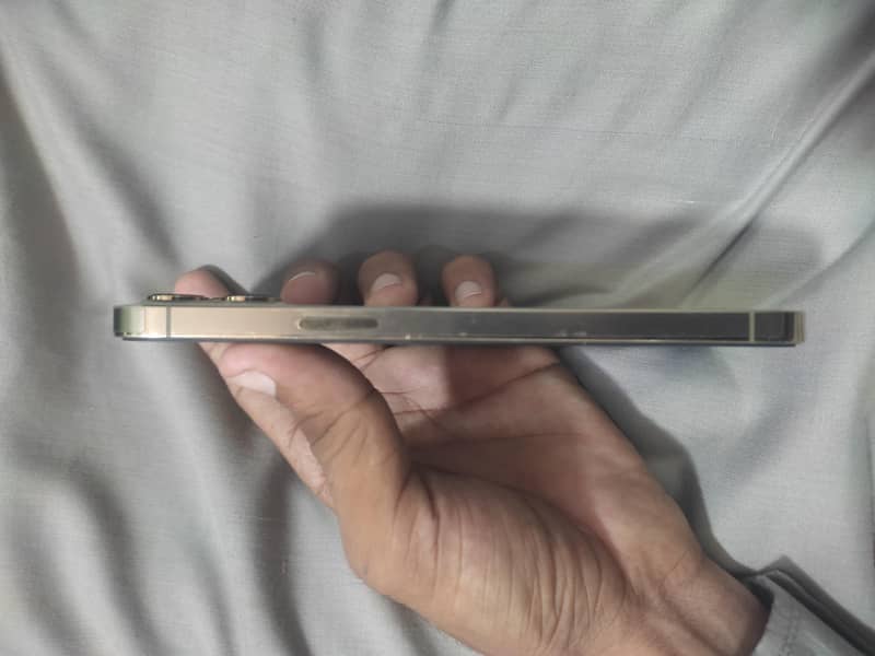 Apple iPhone 12 Pro Max 1