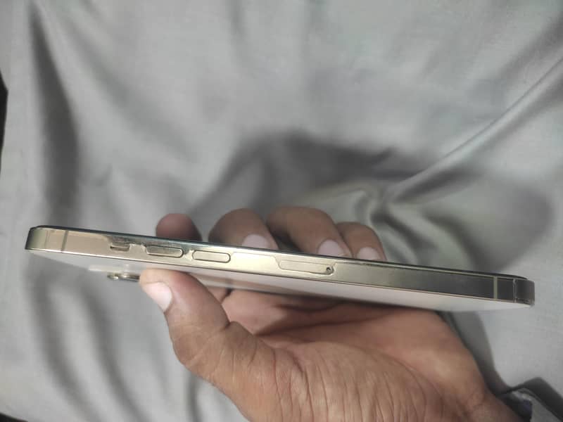 Apple iPhone 12 Pro Max 5