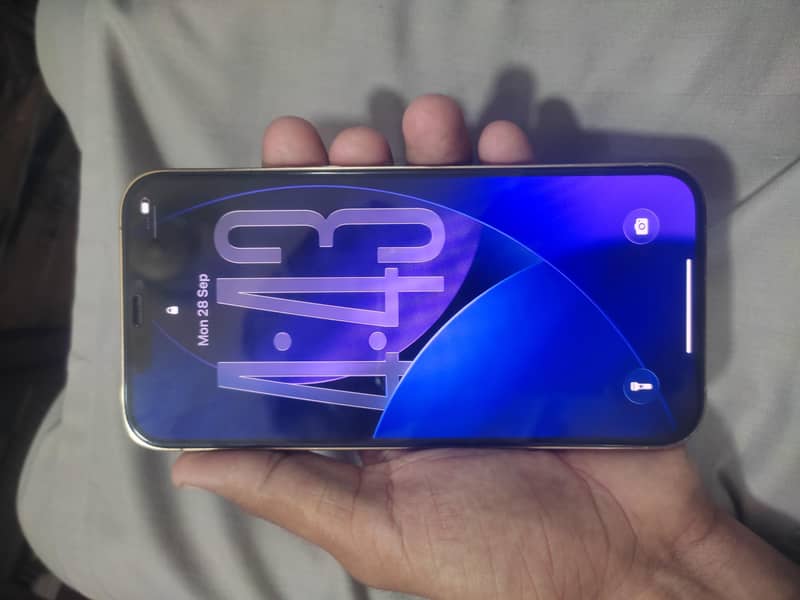 Apple iPhone 12 Pro Max 6