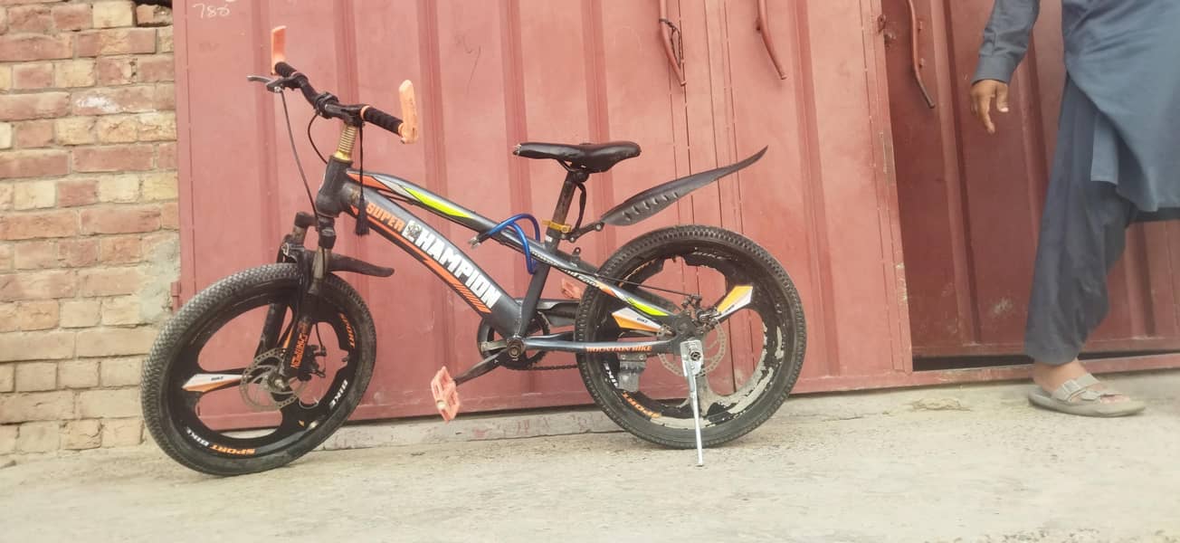 Super champion cycle 2