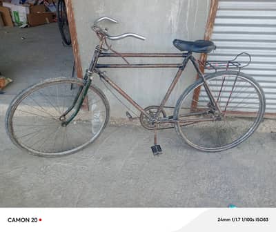 Surab cycle