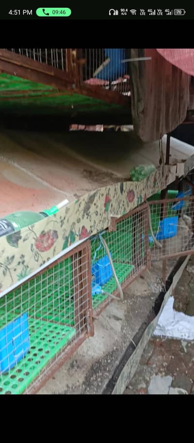 rabbit big cage 24 khany