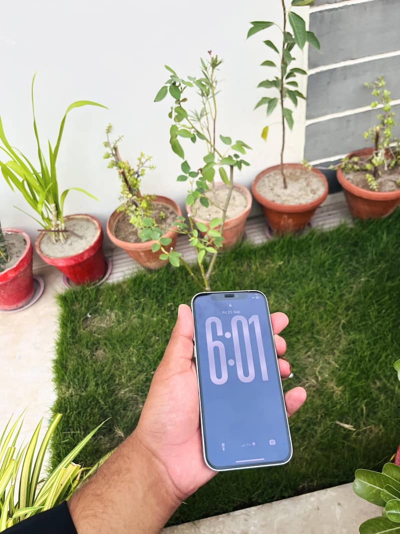 iphone 12 0