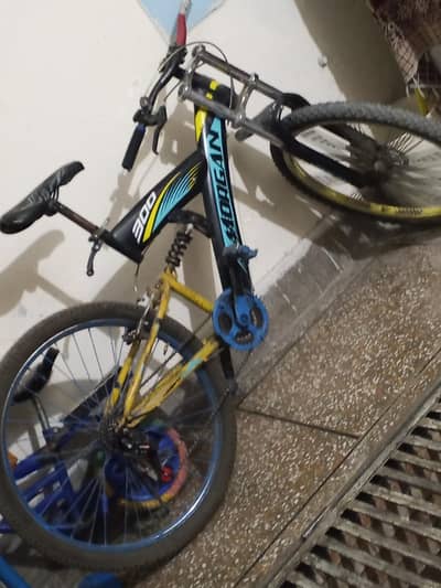 Bycycle china