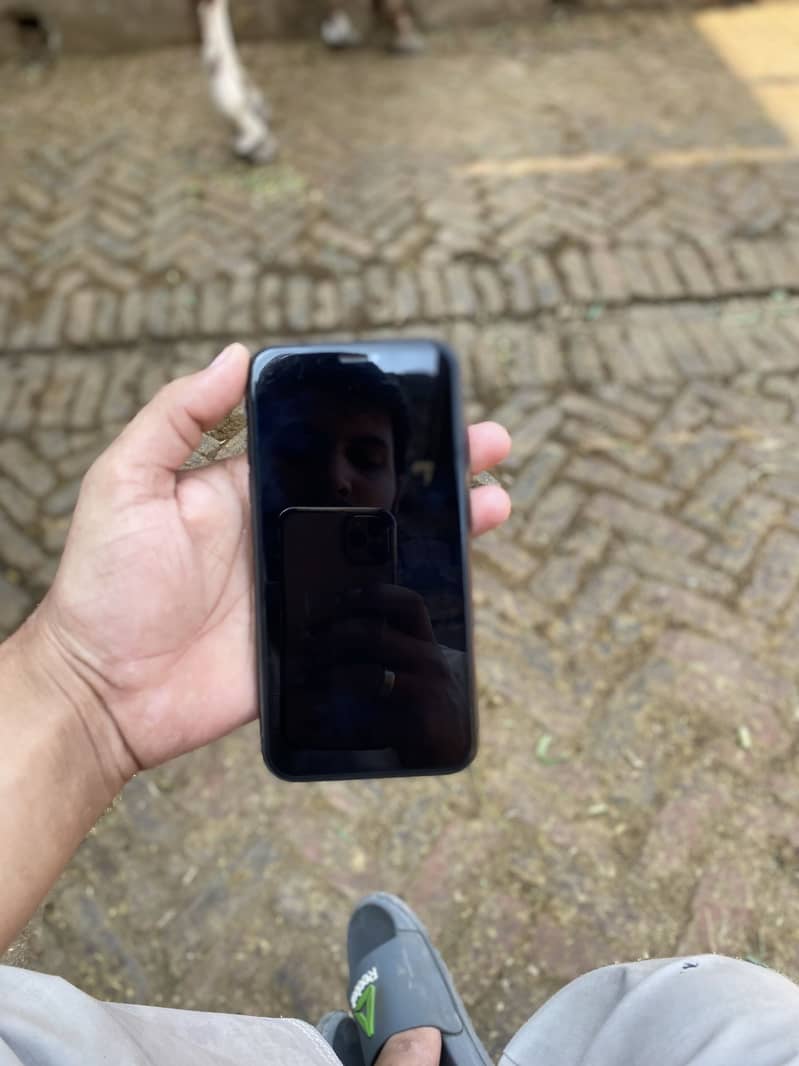 Apple iPhone 11 3