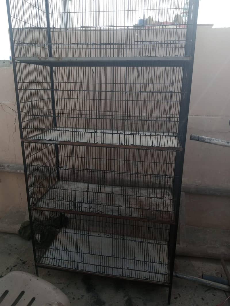 clean cage 1