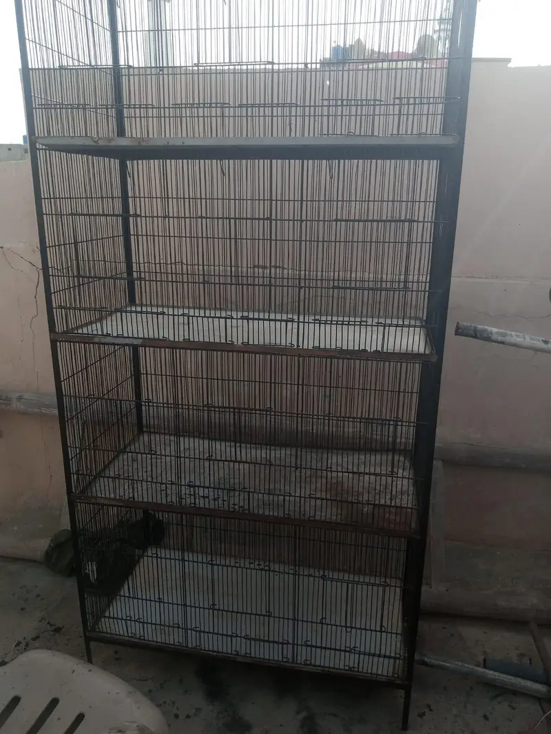 clean cage — photo 2