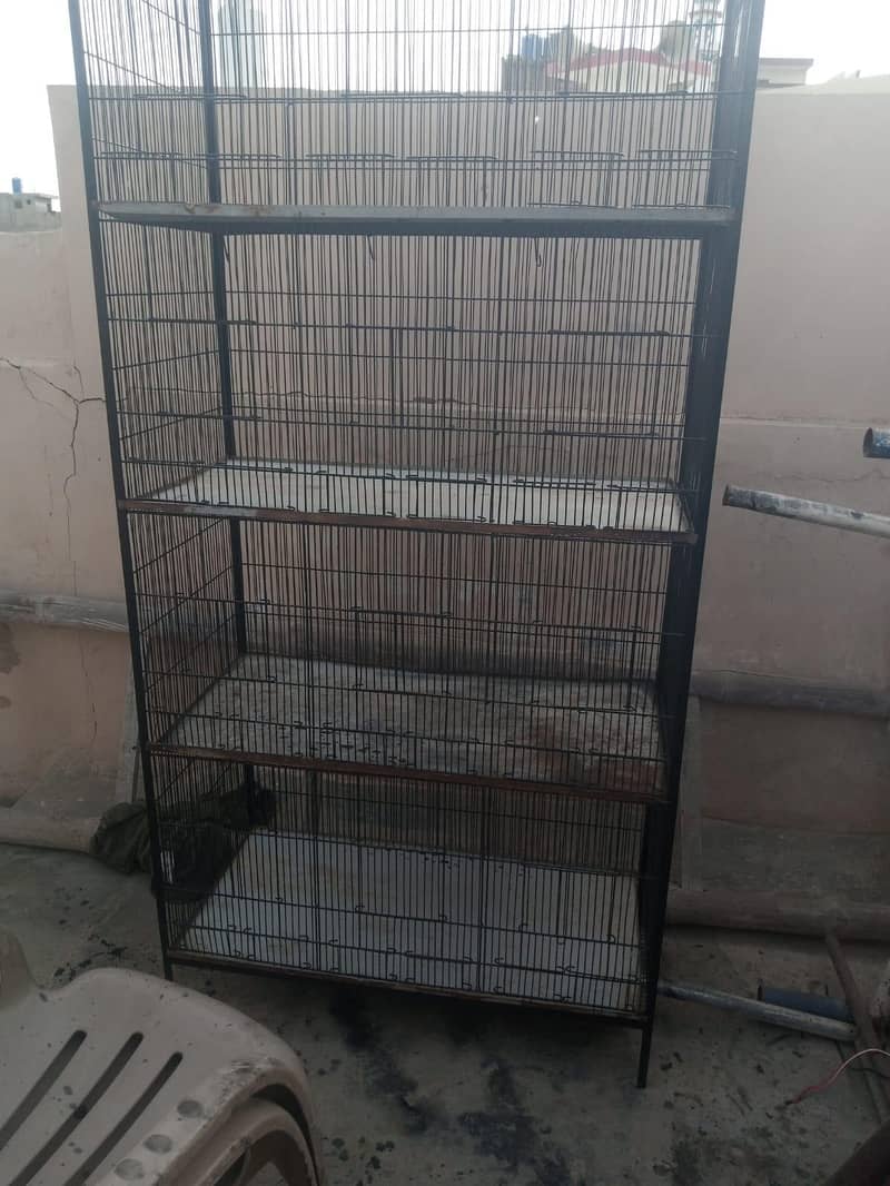 clean cage 2