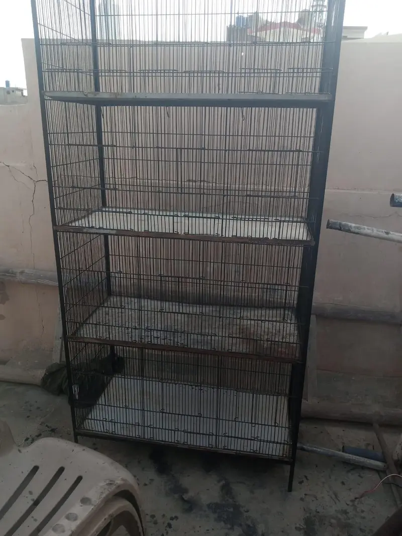 clean cage — photo 3