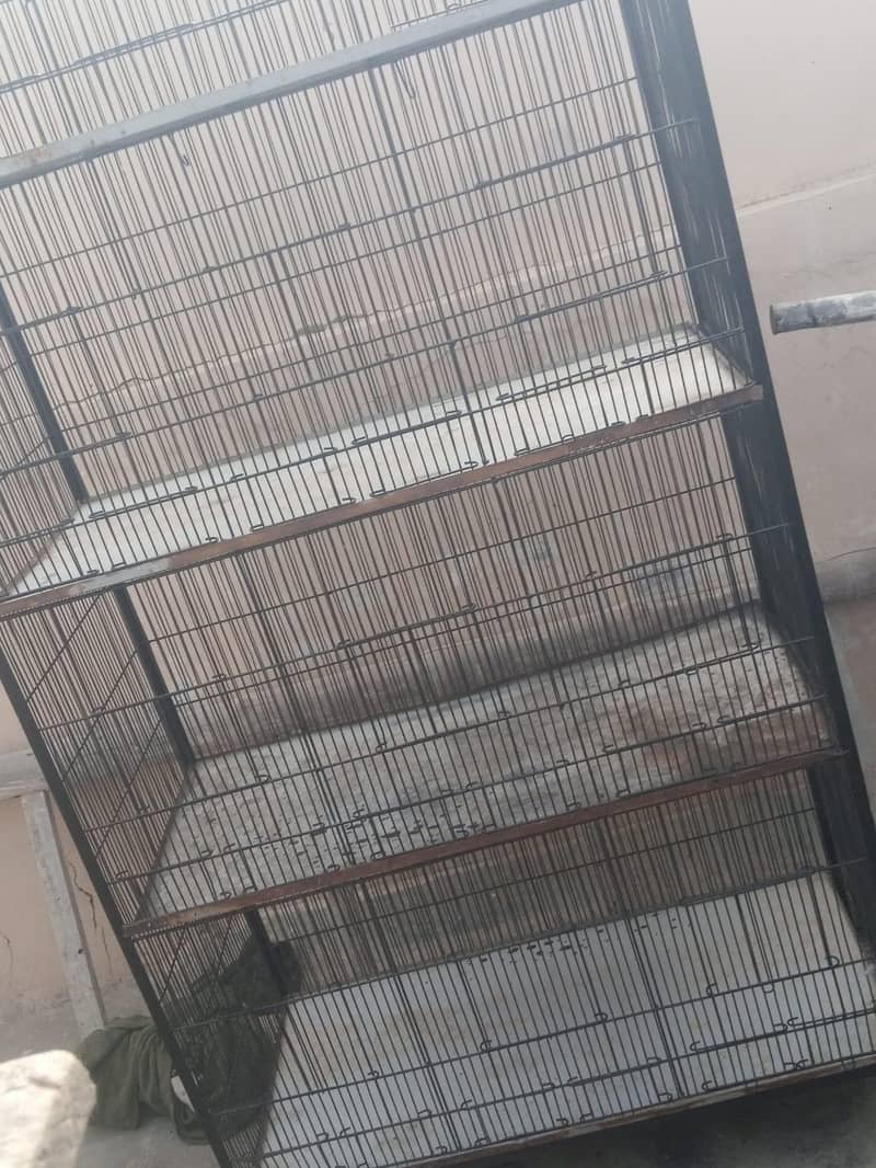 clean cage 3