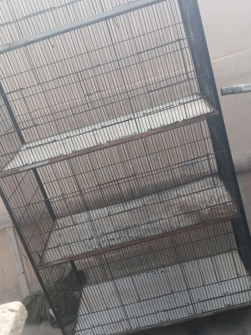 clean cage — photo 4