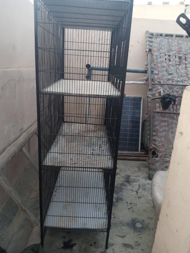 clean cage 5