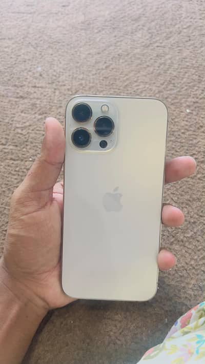 Apple iPhone 13 Pro Max