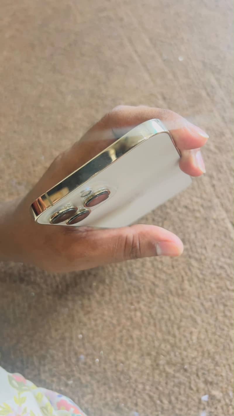 Apple iPhone 13 Pro Max 1