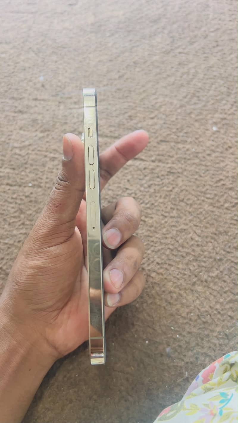 Apple iPhone 13 Pro Max 2