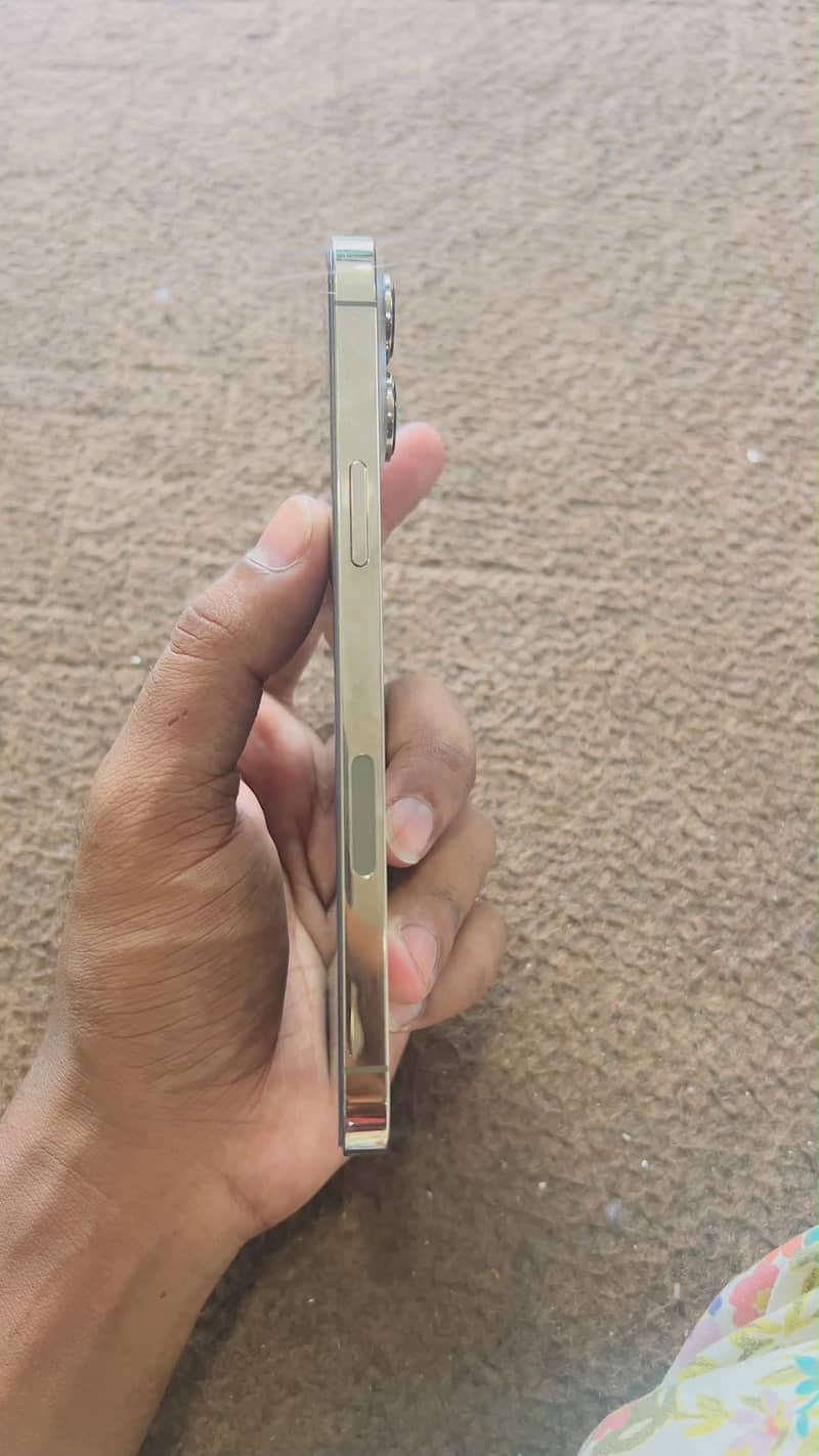 Apple iPhone 13 Pro Max 5