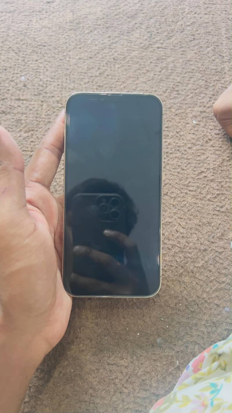 Apple iPhone 13 Pro Max 8