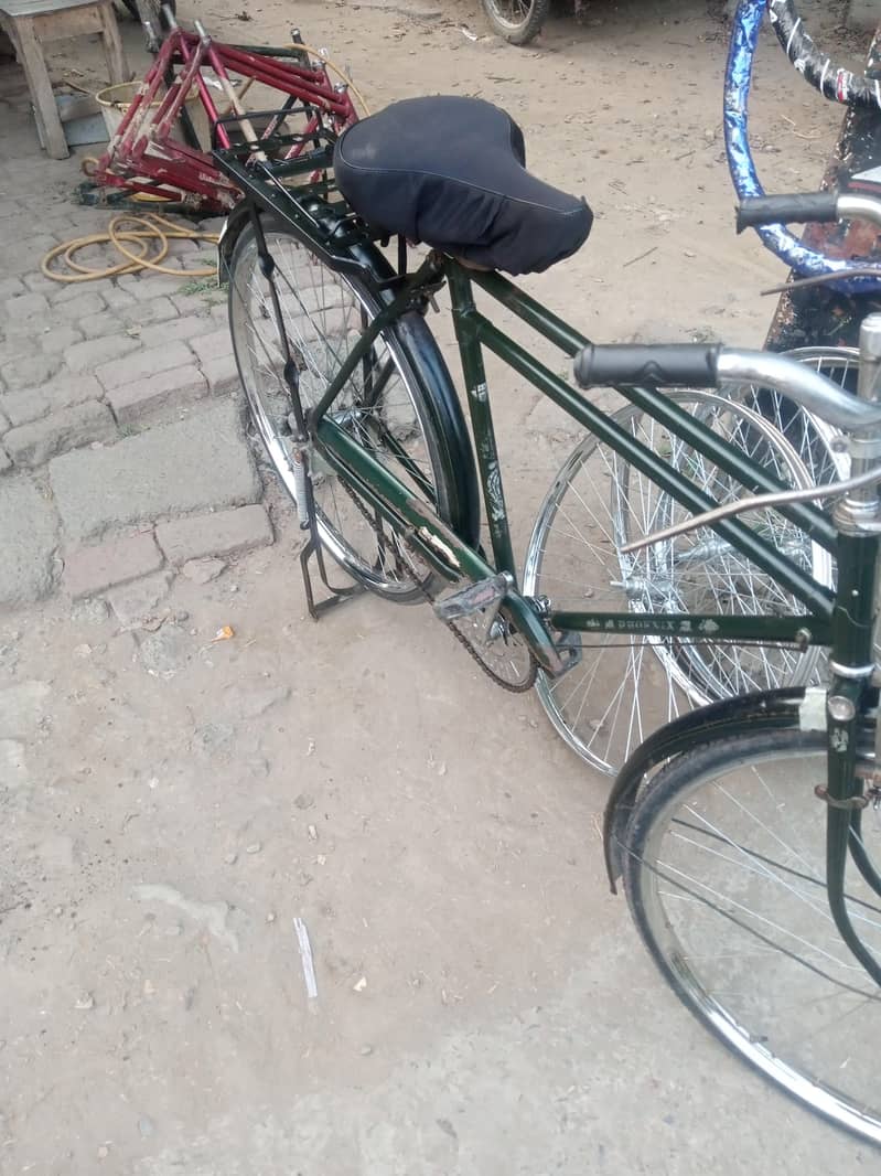 China cycle 2