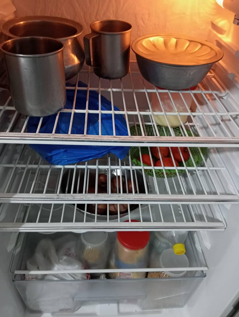 fridge 2