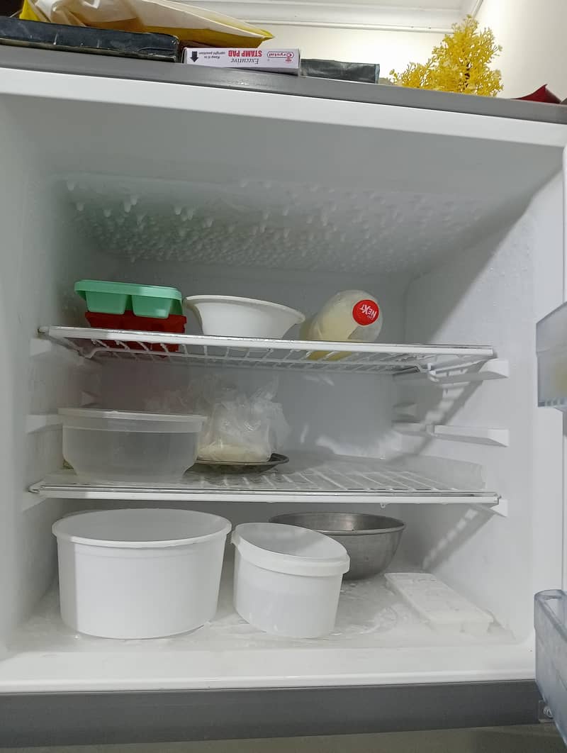 fridge 6