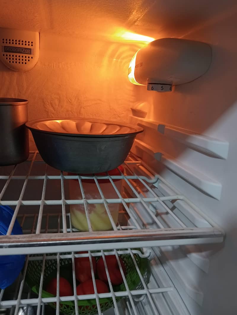 fridge 7