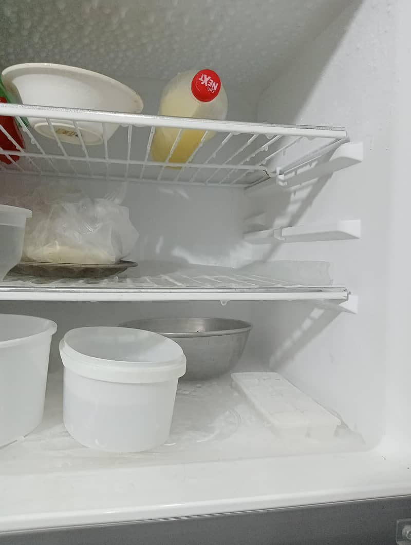 fridge 10